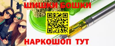 индика Балахна