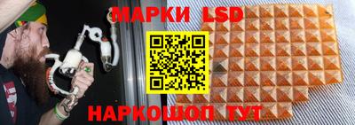 индика Балахна