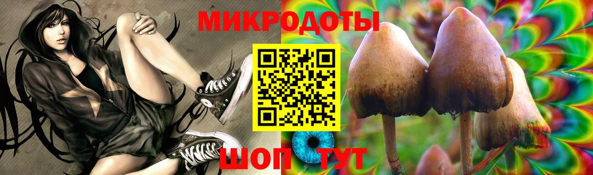 Гусев  Галлюциногенные грибы Magic Shrooms  Вход с VPN 