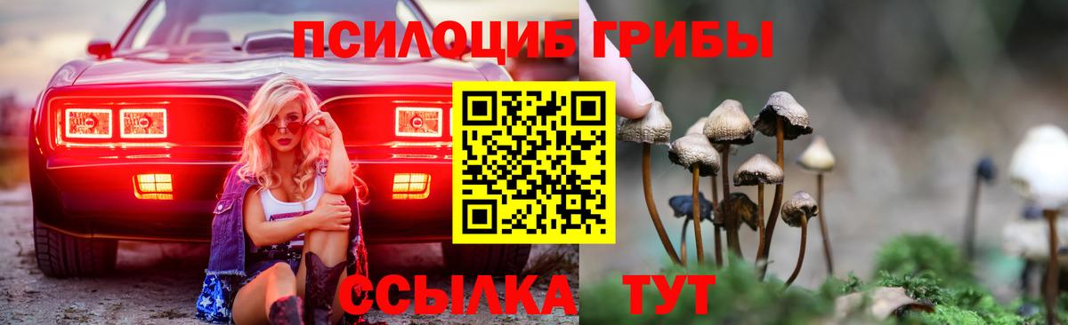 Псилоцибиновые грибы Psilocybine cubensis Гусев